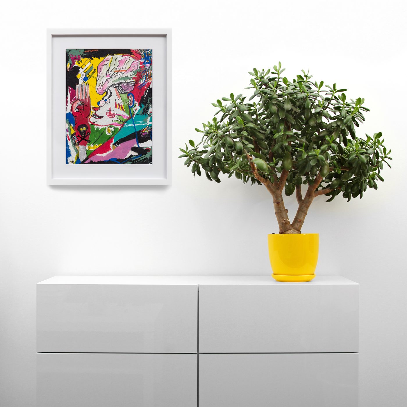 Control installation view